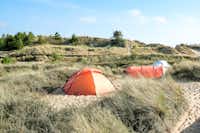 Dünencamping Amrum  Campingplatz Amrum - Zeltplätze in den Dünen