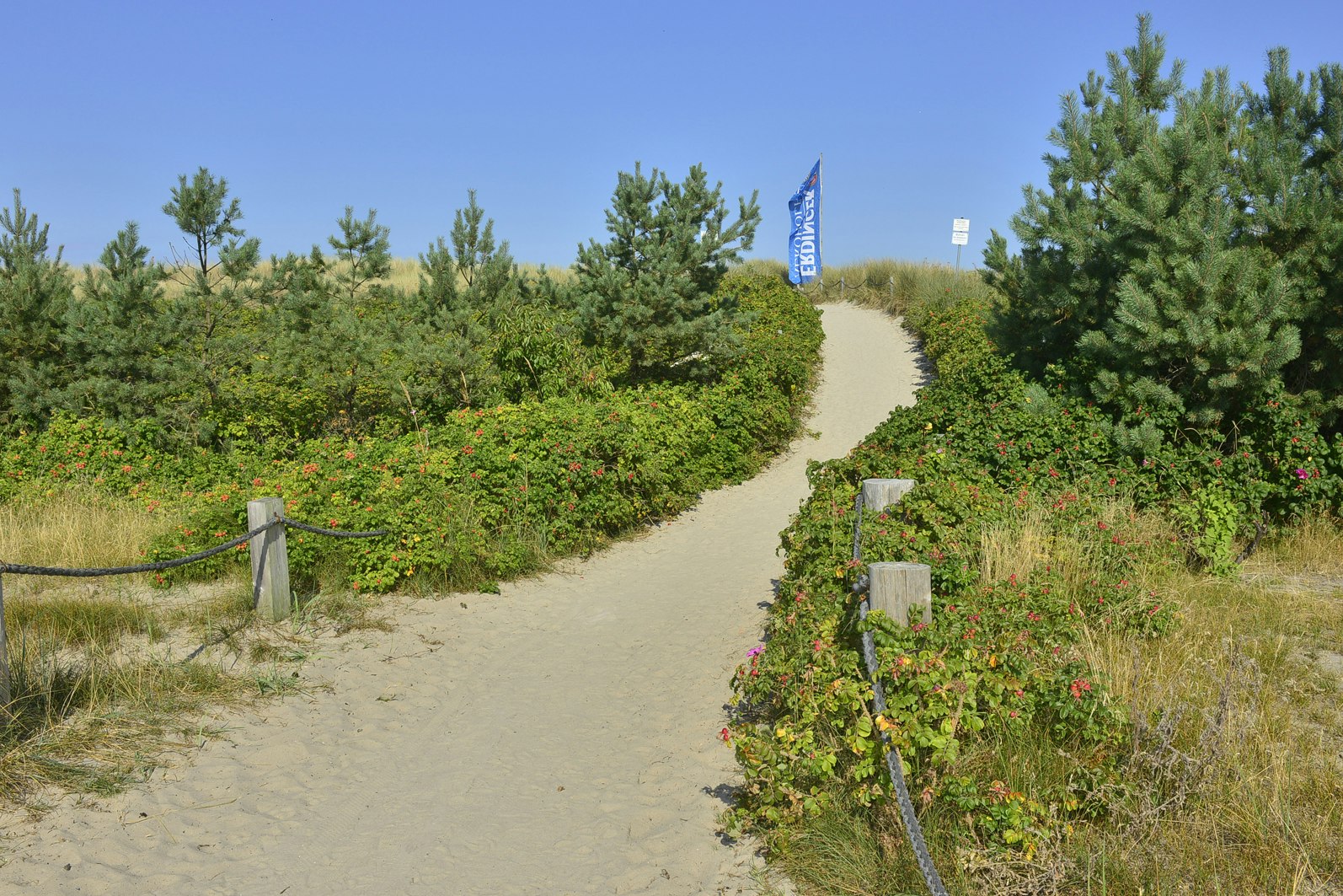 Campingplatz An den Stranddünen - Blick auf den Weg zum Strand
