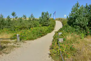 Campingplatz An den Stranddünen - Blick auf den Weg zum Strand