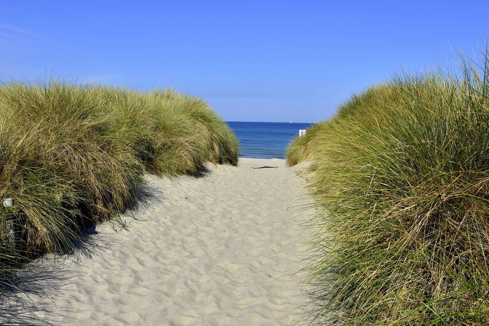 Campingplatz An den Stranddünen - Blick auf den Weg zum Strand