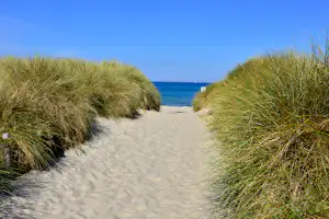 Campingplatz An den Stranddünen - Blick auf den Weg zum Strand