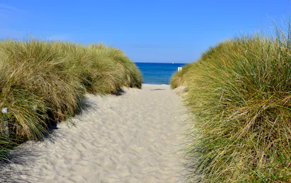 Campingplatz An den Stranddünen