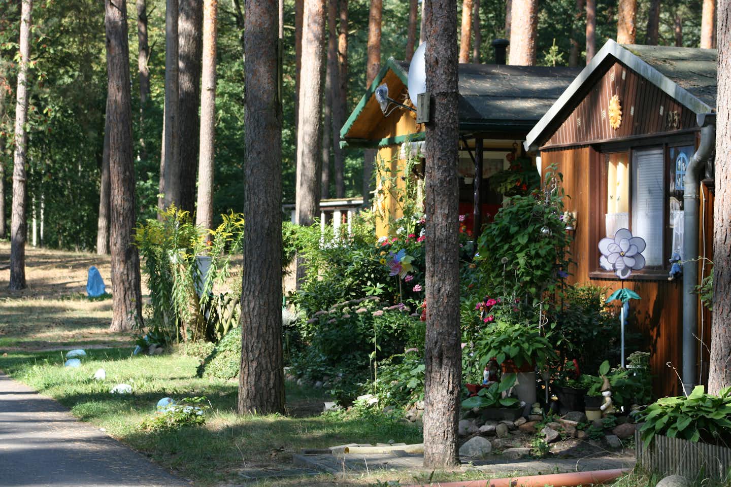 Campingplatz Arendsee - Mietshäuser unter Bäumen auf dem Campinggelände