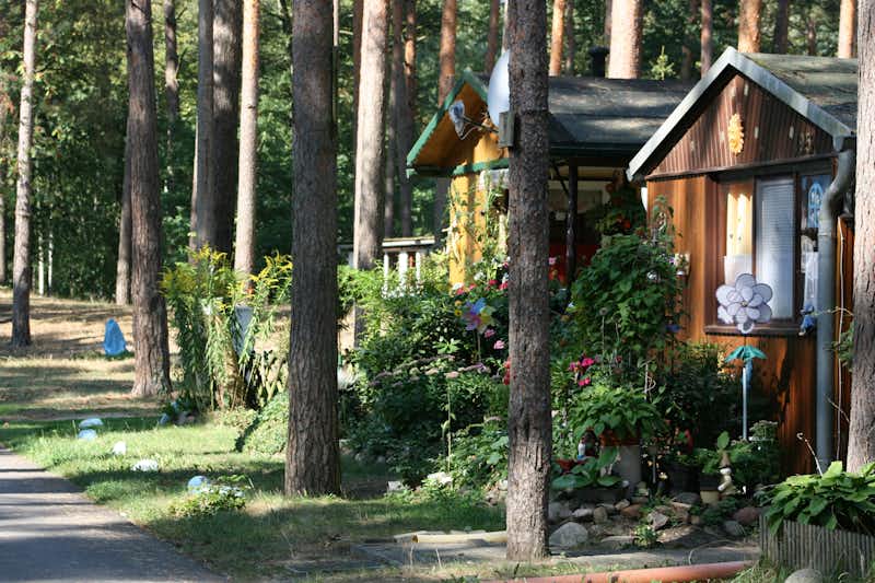 Campingplatz Arendsee - Mietshäuser unter Bäumen auf dem Campinggelände