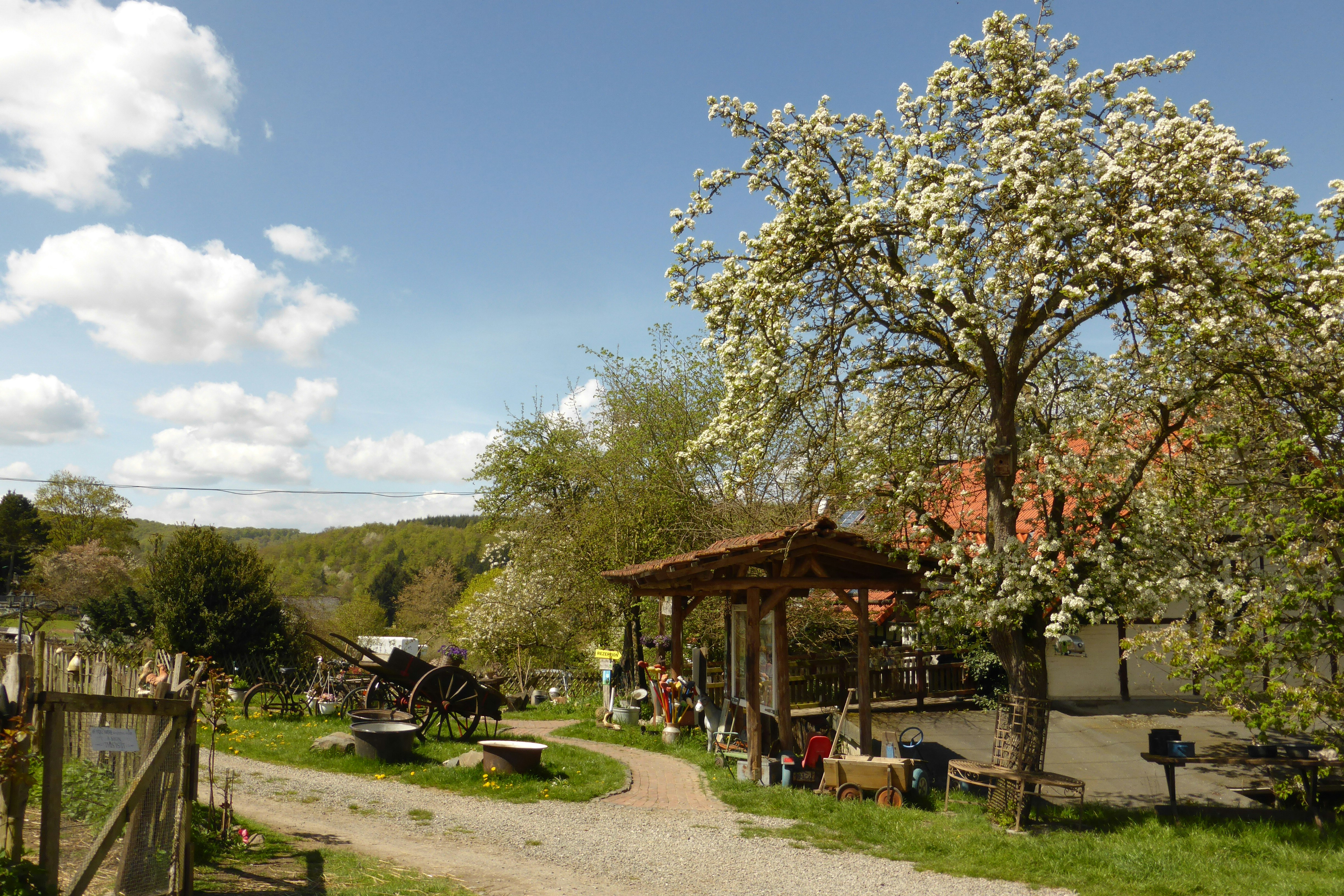 Camping Edersee-Paradies