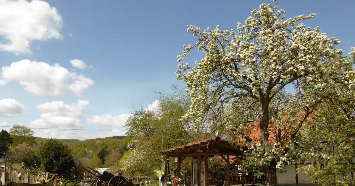 Liegt der Camping Edersee-Paradies am See?