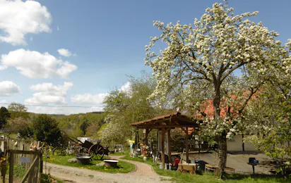 Camping Edersee Paradies