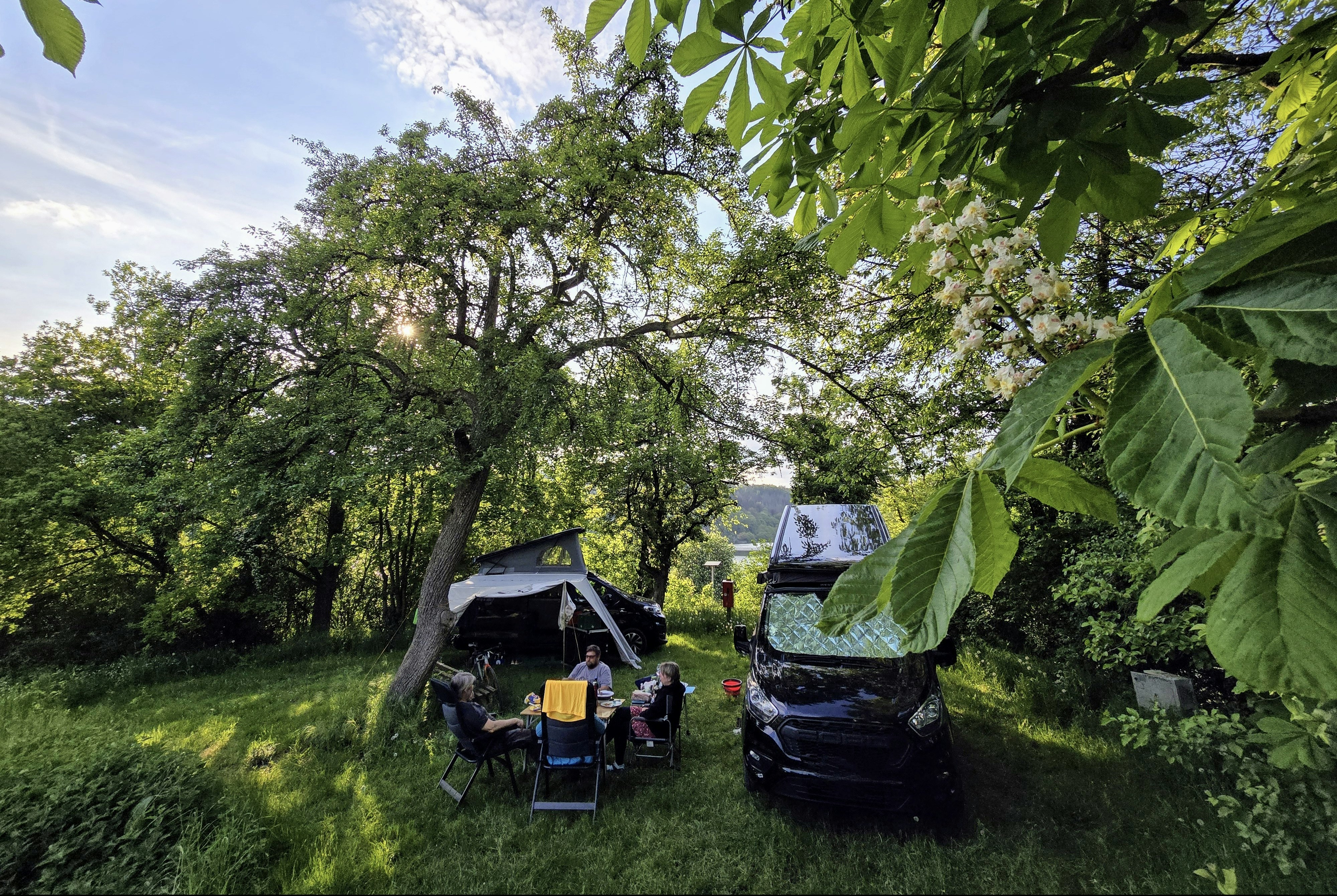 Camping Edersee-Paradies  Campingplatz Asel-Süd - Standplätze zwischen den Bäumen auf dem Campingplatz