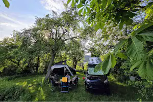 Camping Edersee-Paradies Campingplatz Asel-Süd - Standplätze zwischen den Bäumen auf dem Campingplatz