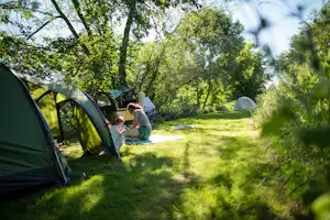 Campingplatz Auenland - Zeltwiese auf dem Campingplatz