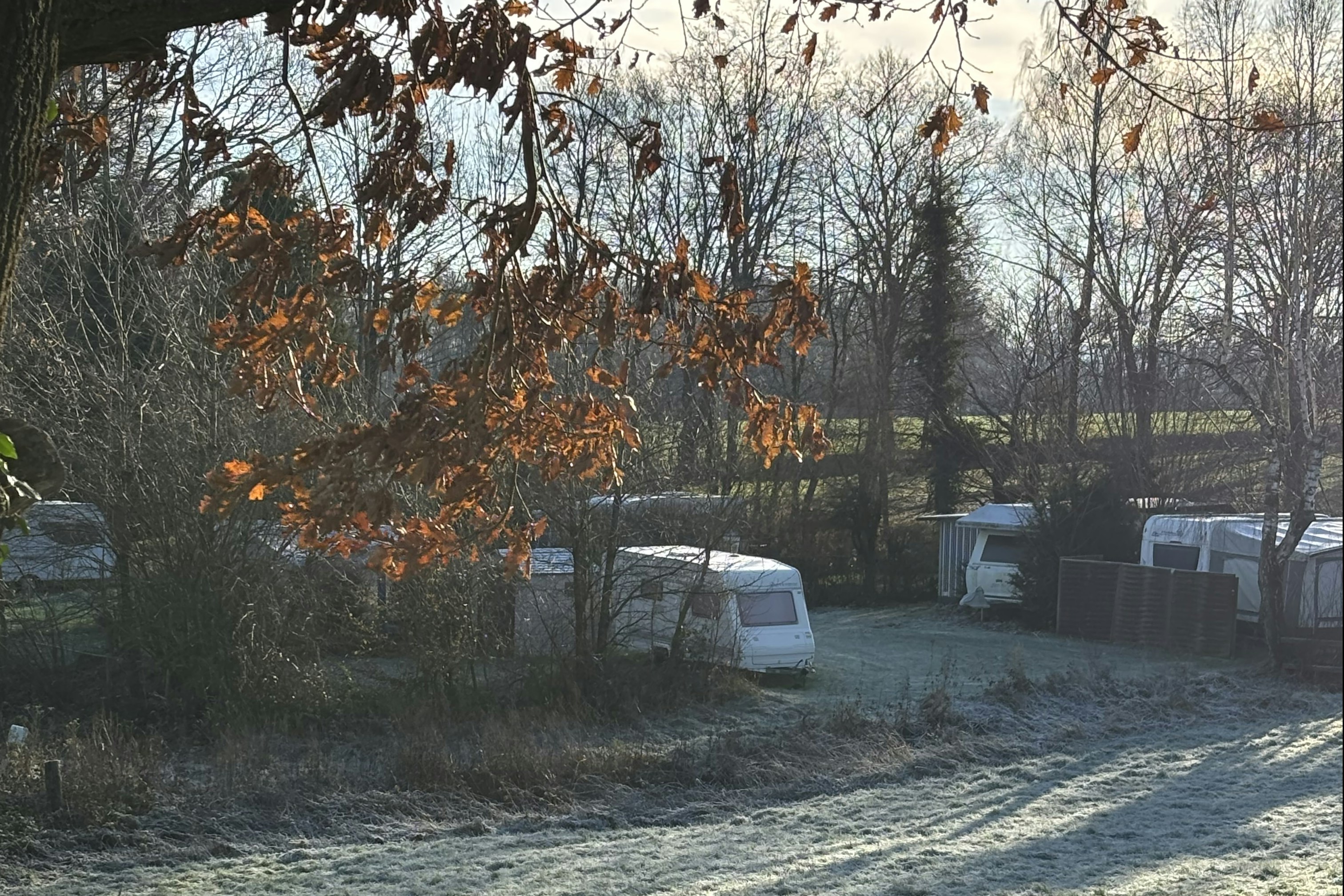 Vordergrund mit Gras und Laub, dahinter mehrere Wohnwagen auf einem Campingplatz zwischen Bäumen und Hecken.