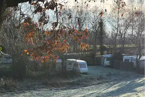 Vordergrund mit Gras und Laub, dahinter mehrere Wohnwagen auf einem Campingplatz zwischen Bäumen und Hecken.