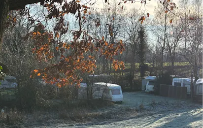 Campingplatz Bambi
