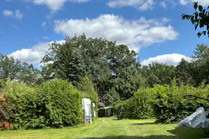 Grüner Campingplatz mit Rasenfläche, Hecken und Bäumen; rechts ein Zelt, im Hintergrund ein Wohnwagen und ein Weg.
