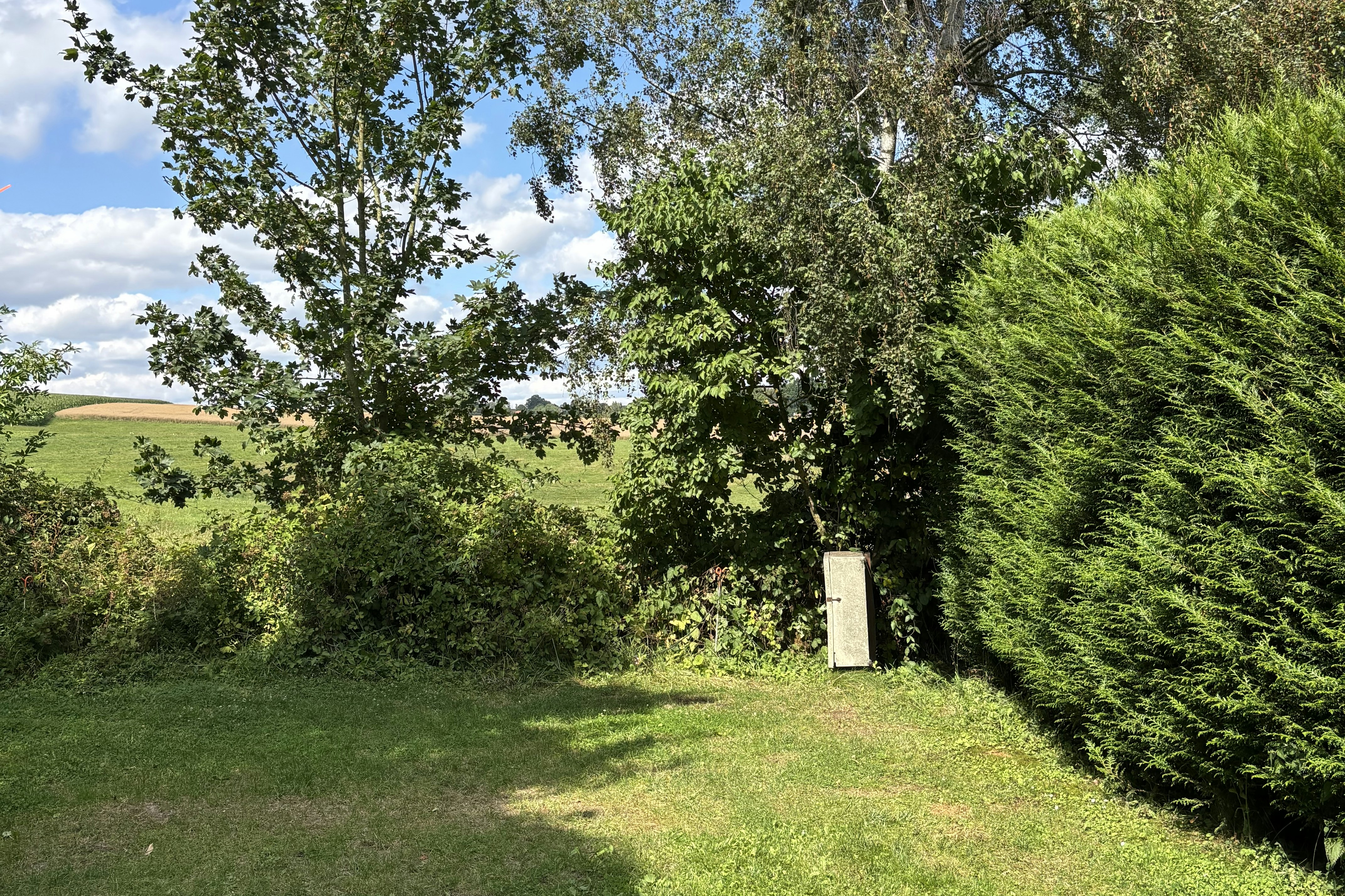Grüner Garten mit Rasenfläche, hohen Bäumen und Hecken, im Hintergrund ein Feld unter blauem Himmel.