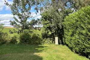 Grüner Garten mit Rasenfläche, hohen Bäumen und Hecken, im Hintergrund ein Feld unter blauem Himmel.