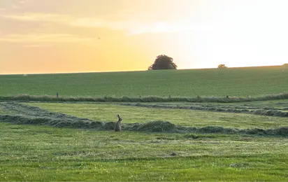Campingplatz Bambi