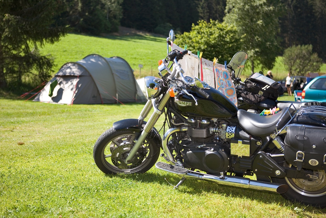 Campingplatz Bankenhof - Zeltwiese auf dem Campingplatz