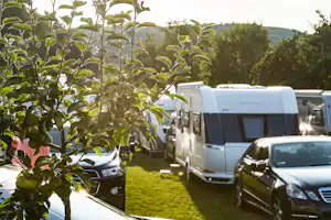Campingplatz Bauer-Keller - Stellplätze im Schatten unter Bäumen auf dem Campingplatz
