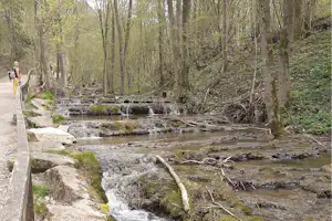 Bach im Wald mit kleinen Wasserfällen und Steinstufen, umgeben von Bäumen und einem schmalen Weg am Ufer.