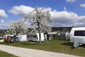 Wohnmobile und Wohnwagen auf einem Campingplatz, mit Kiesweg, Rasenfläche und blühendem Baum im Vordergrund.