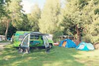 Campingplatz Bergmühle - Zeltplätze und Stellplätze auf der Wiese