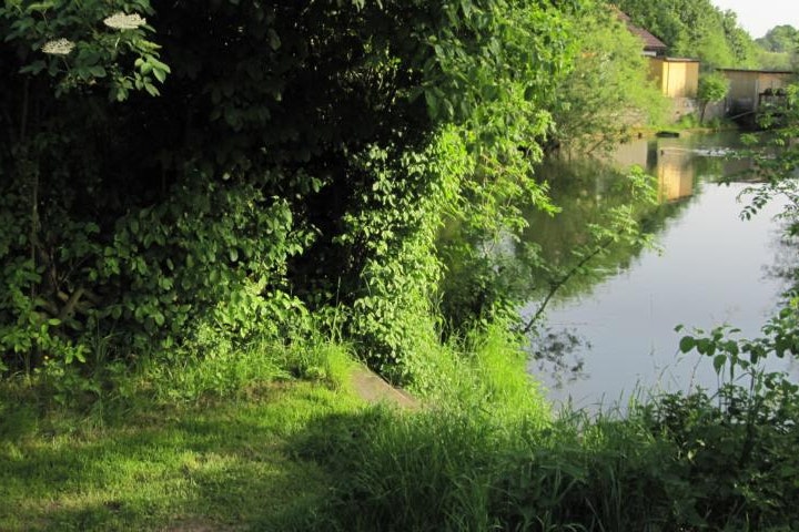 Campingplatz Bieger - Zugang zum Wasser