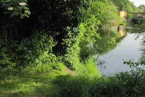 Ruhiger Fluss mit grünem Ufer und dichtem Bewuchs, im Hintergrund ein Gebäude am Wasser.