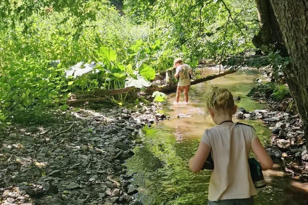 Camping Bockenauer Schweiz