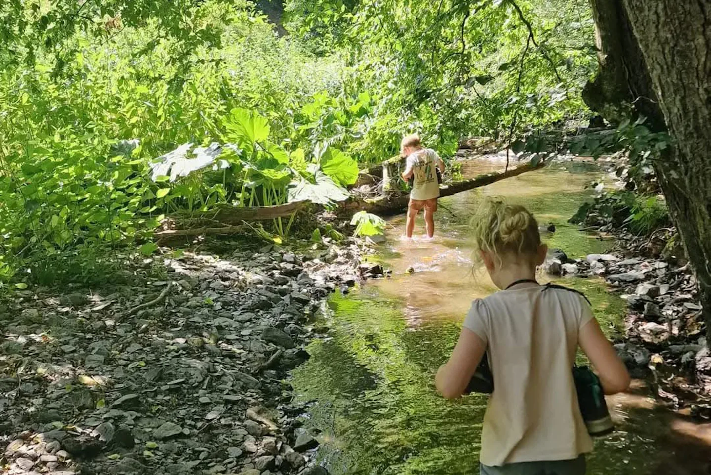 Campingplatz Bockenauer Schweiz