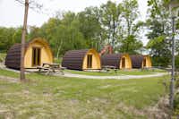 Campingplatz Böhmeschlucht  -  Mobilheime vom Campingplatz mit Picknicktischen auf grüner Wiese