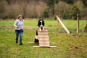 Campingplatz Böhmeschlucht - Parcours für Hunde auf dem Campingplatz