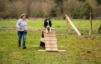 Campingplatz Böhmeschlucht