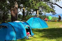 Campingplatz Bolter Ufer - zeltwiese direkt am wasser