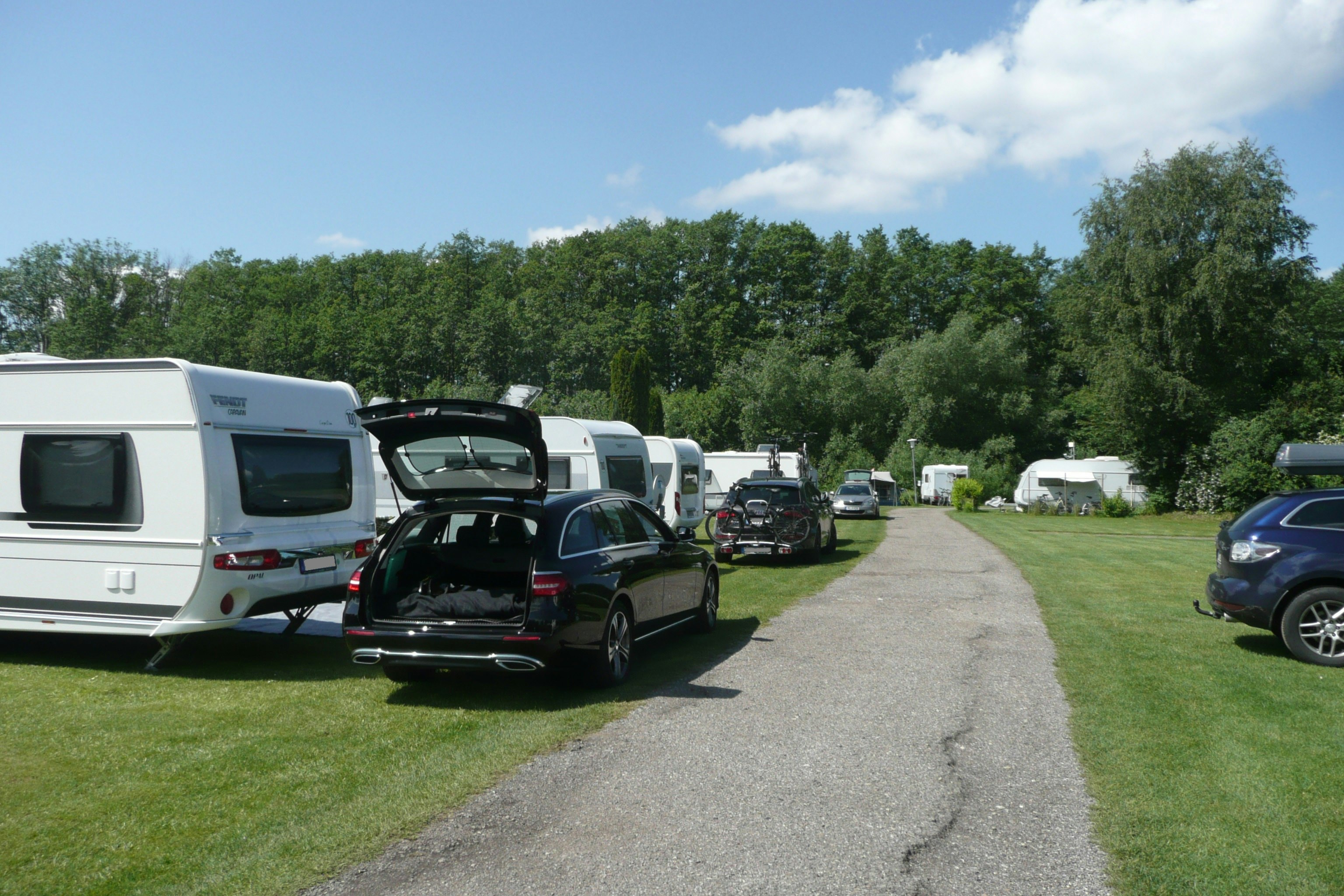 Campingplatz Bosau - Wohnwagen- und Zeltstellplatz vom Campingplatz auf grüner Wiese