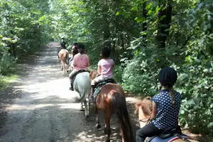 Campingplatz Brockmühle - Reiter im Wald in der Nähe vom Campingplatz