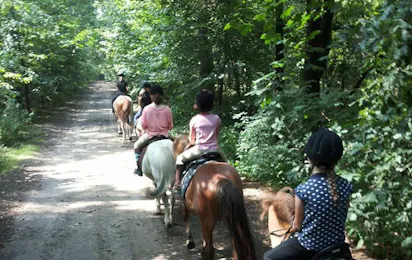 Campingplatz und Reiterpark Brockmühle