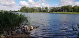Ruhiger See mit steinigem Ufer, Schilf und Bäumen am Horizont, im Hintergrund bewaldete Uferlinie.