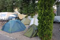 Campingplatz Buchholz  -  Wohnwagen- und Zeltstellplatz vom Campingplatz