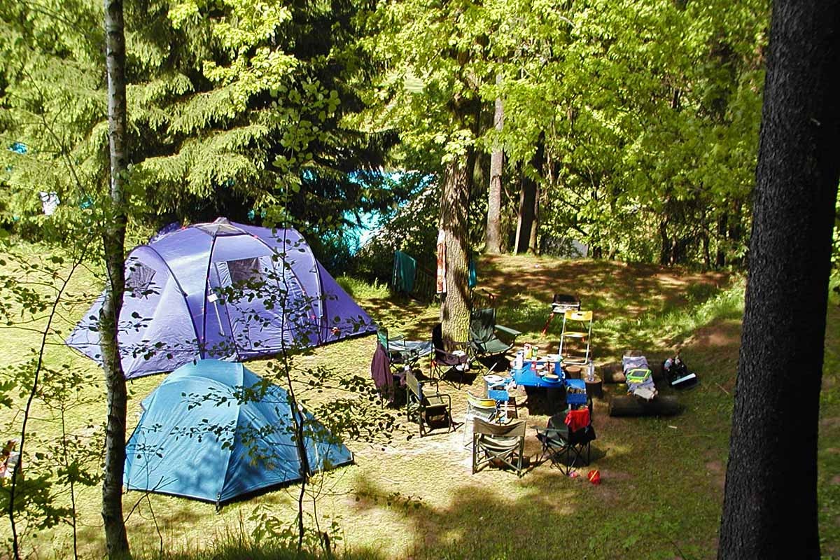 Campingplatz & Bungalowdorf Erlau - Zeltplätze unter Bäumen auf dem Campingplatz