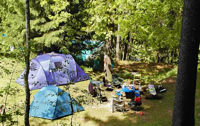 Campingplatz & Bungalowdorf "Am Waldbad"
