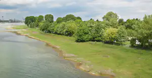 Flussufer mit grünem Grasstreifen, Bäumen und Uferweg, im Hintergrund Industrieanlagen und Brücke.