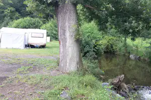 Wohnwagen mit weißem Vorzelt am Flussufer, großer Baum im Vordergrund, grüner Campingplatz mit Gras und Kies.