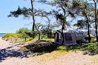 Campingplatz Drewoldke  -  Stellplätze vom Campingplatz zwischen Bäumen mit Blick auf die Ostsee