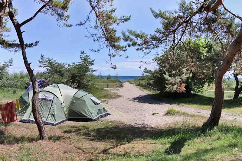 Campingplatz Drewoldke  - Zeltplatz  vom Campingplatz mit direktem Zugang zur Ostsee
