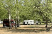 CampingPlatz Ecktannen - Stellplätze im Halbschatten