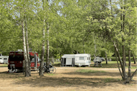 CampingPlatz Ecktannen - Stellplätze im Halbschatten