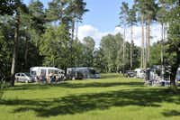 Zelt-, Park- und Stellplätze unter Bäumen auf dem CampingPlatz Ecktannen