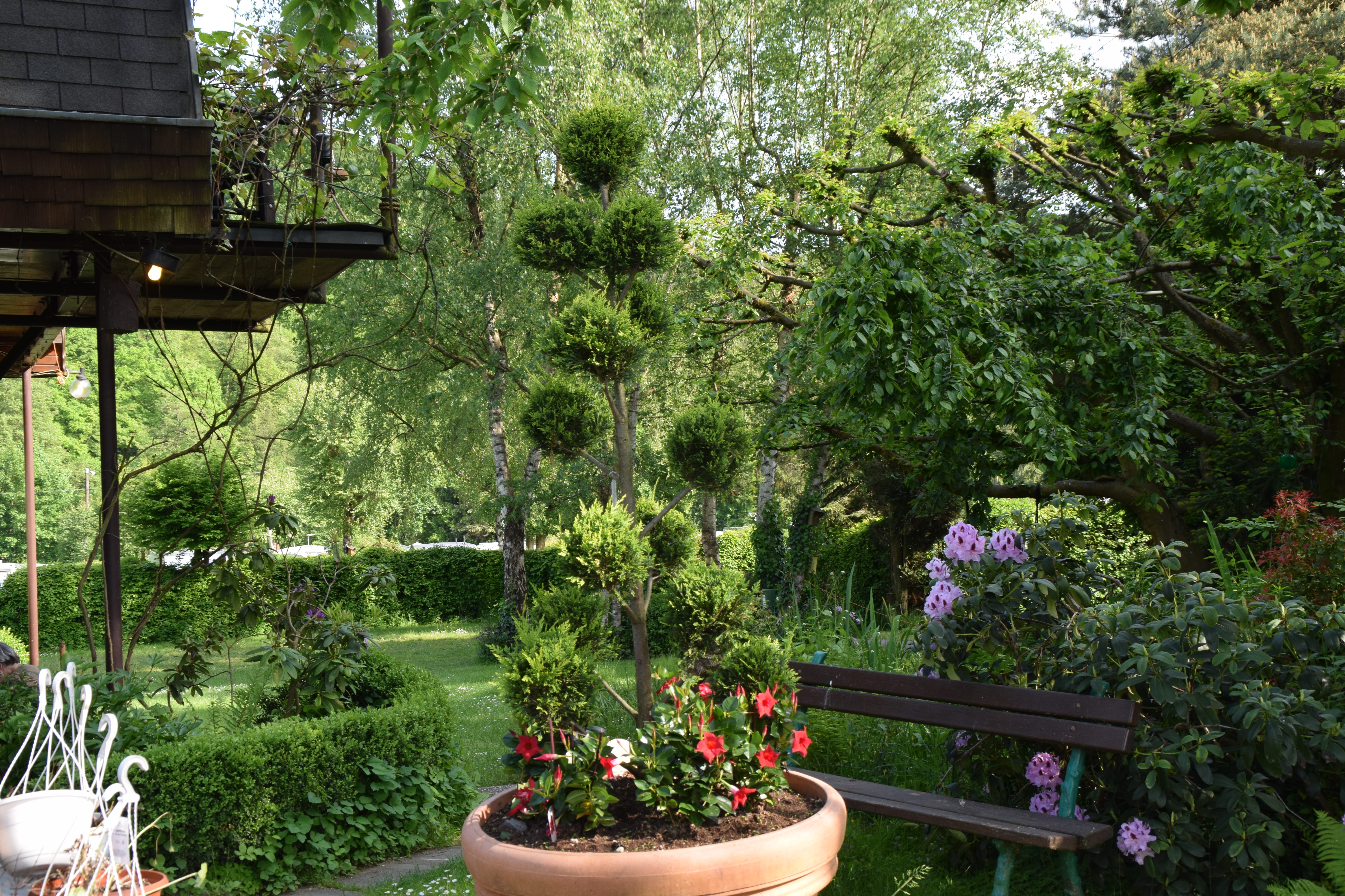 Campingplatz Eisenbachtal