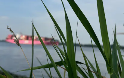 Familieninsel Lühesand